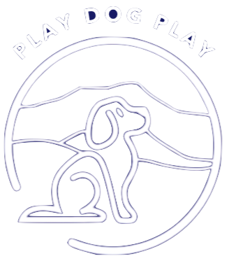 Play Dog Play